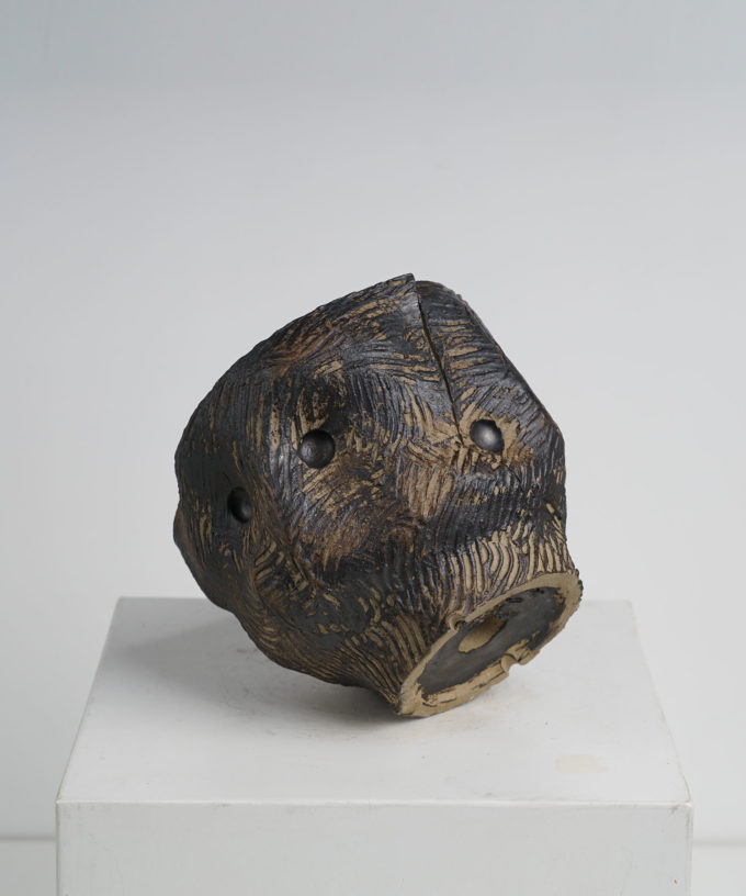 iO 1.03 D13 H11