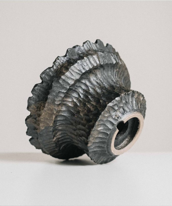 Bone 1.03 D12.5 H6