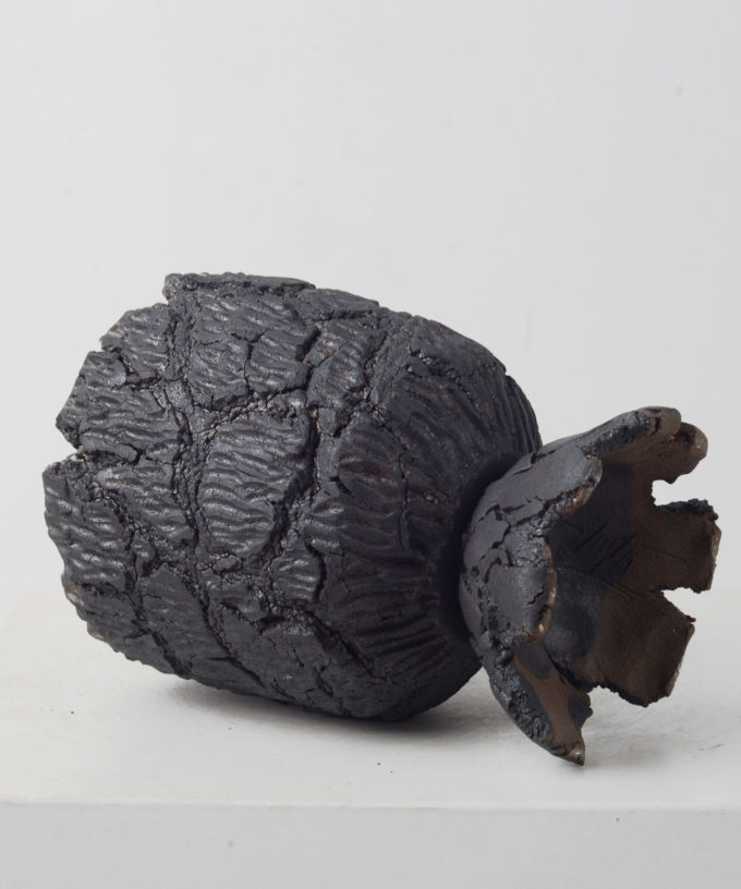 Meteoroid 3 D8.5 H12 (In One)